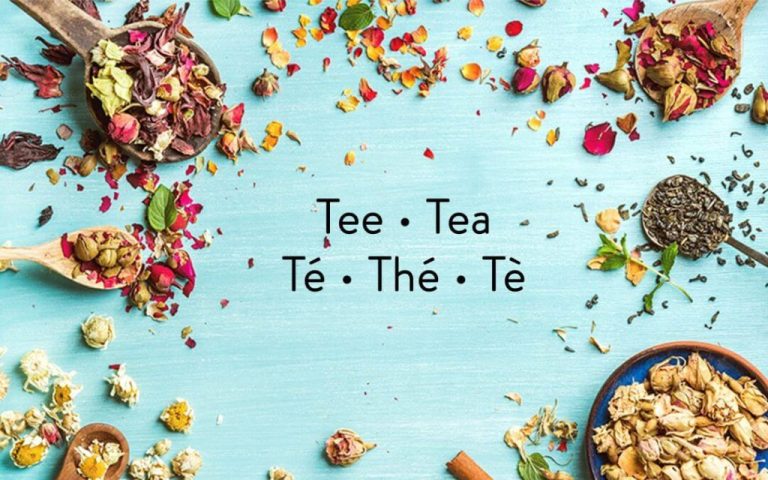 Teesorten Und Ihre Eigenschaften Auf Einem Blick