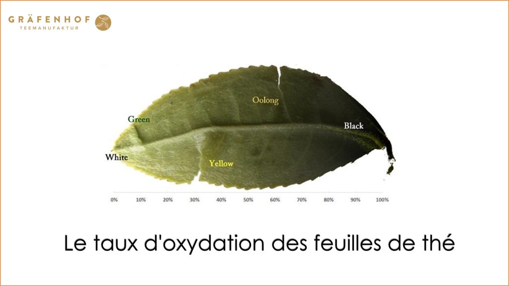 Oxydation du thé - Thés Premiu-Grossiste en thé Bio
