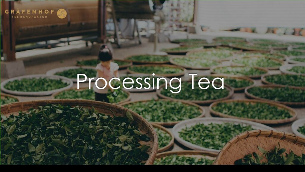 Tea Leaves Processing Graefenhof Tee GmbH