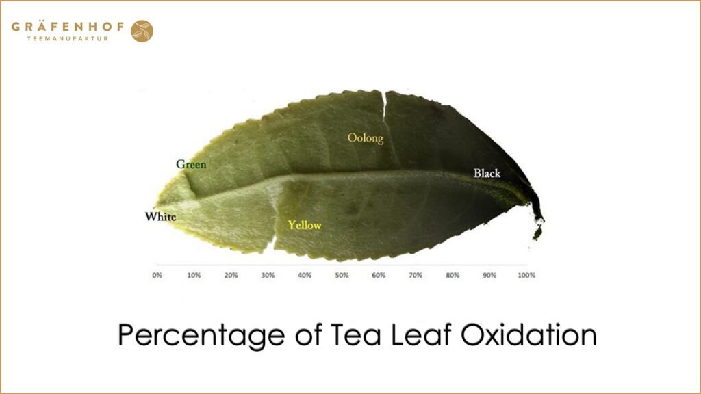 Tea Leaf Oxidation - Gräfenhof Tee GmbH_11zon